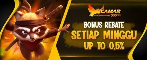 VIP Weekly Rebate 0.5% promotion